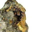 Gold - image 3