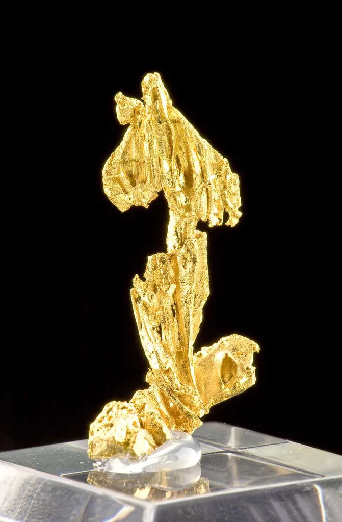 Gold - image 2