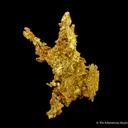 Gold - image 3