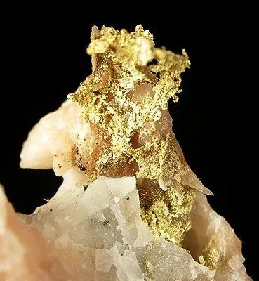 Gold - image 2
