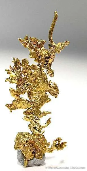Gold - image 2