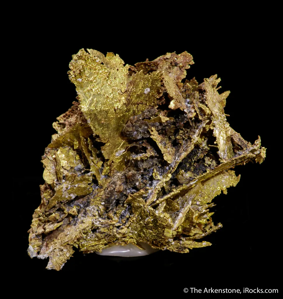 Gold - image 3