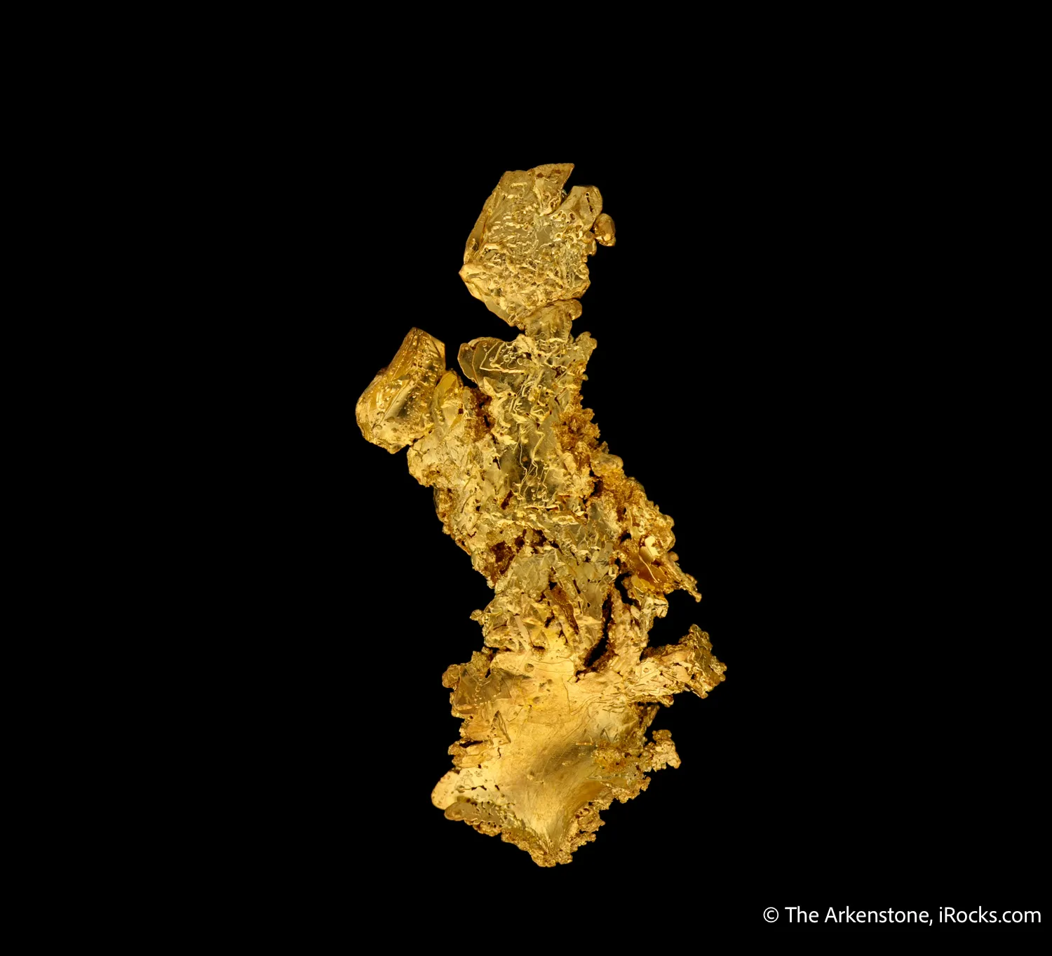 Gold - image 4