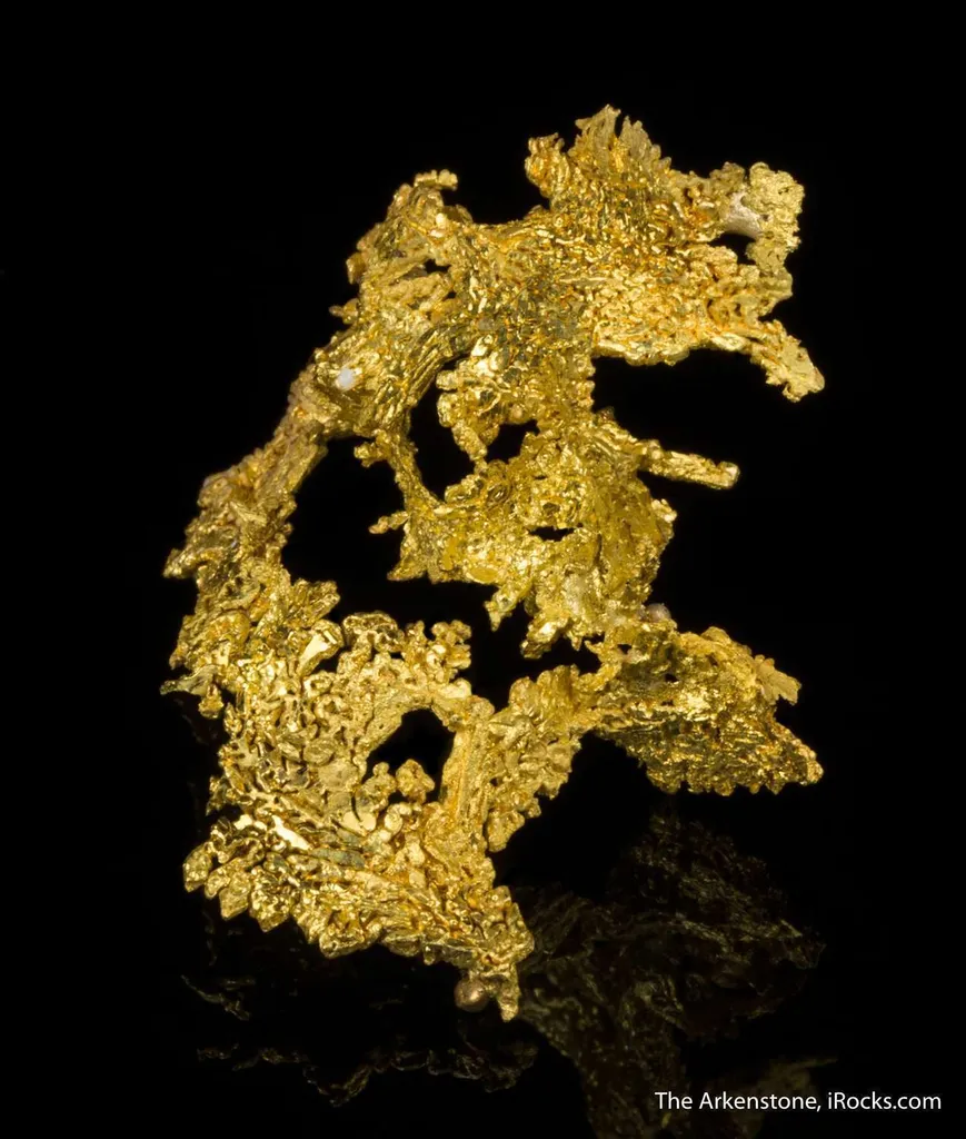 Gold - image 2