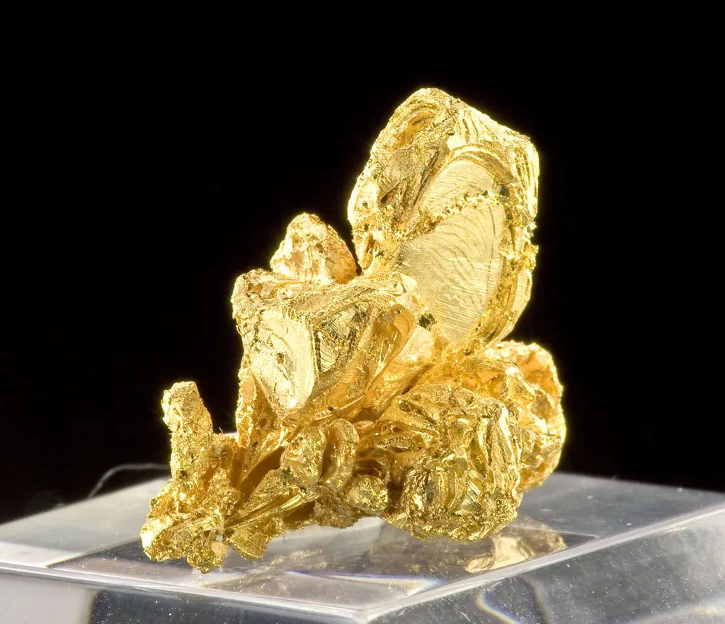 Gold - image 4