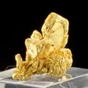 Gold - image 4