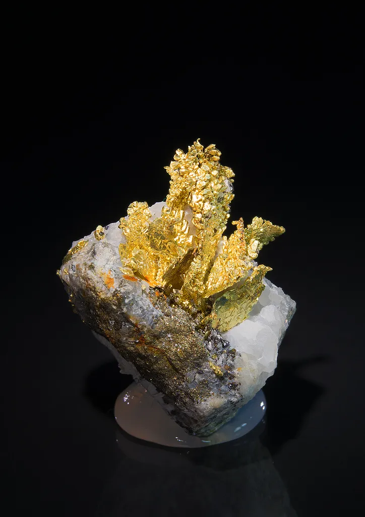 Gold - image 2