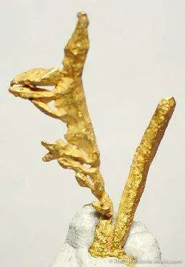Gold image