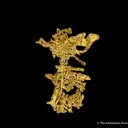 Gold - image 1