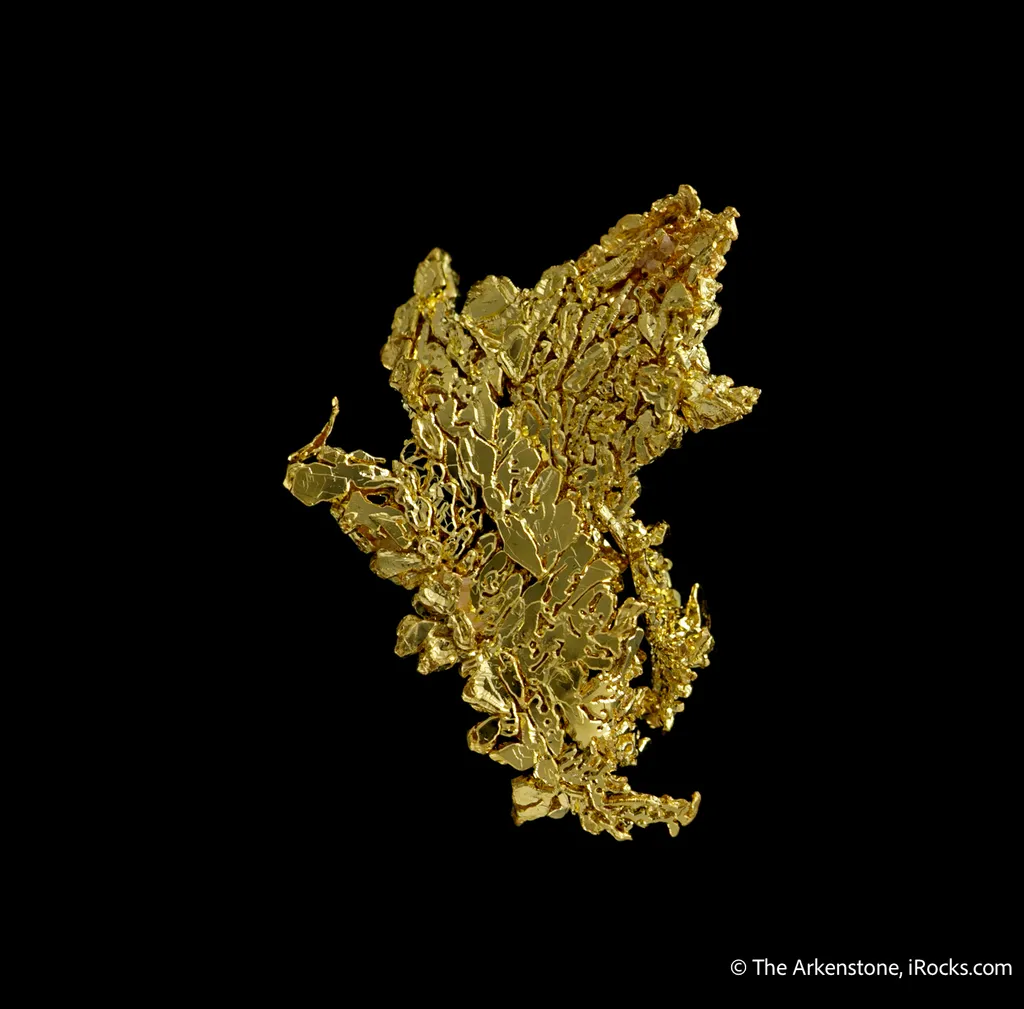 Gold - image 5