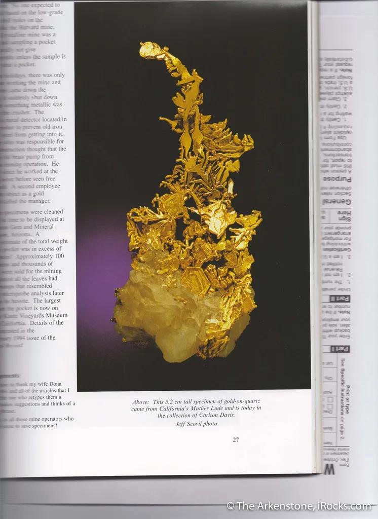 Gold - image 5