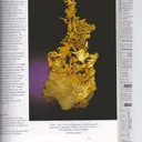 Gold - image 5