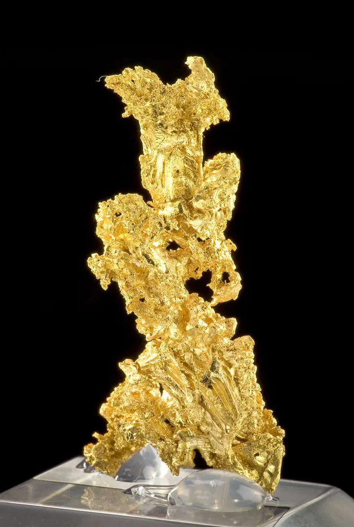 Gold - image 3