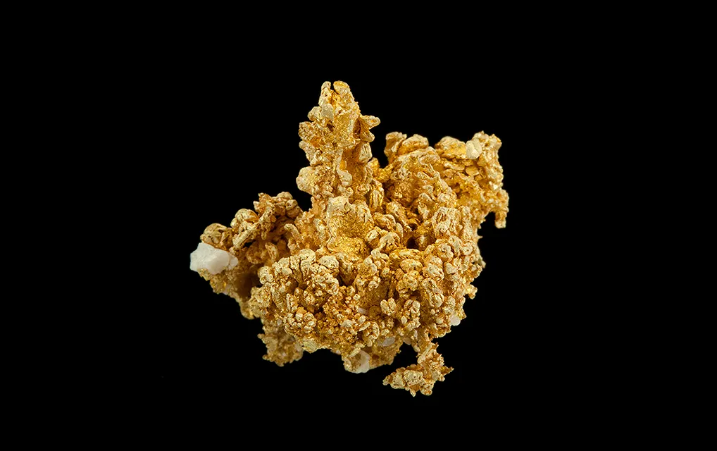 Gold image
