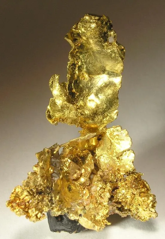 Gold image