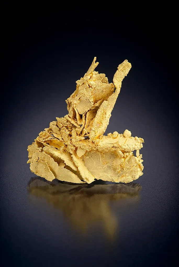 Gold image