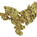 Gold - image 1