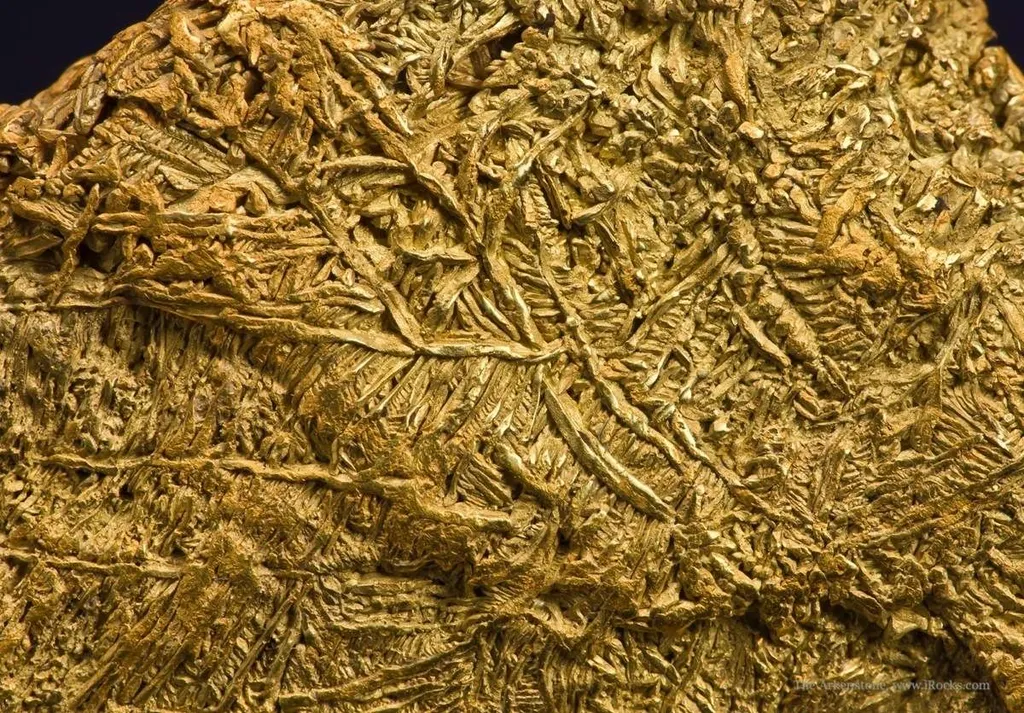Gold - image 3
