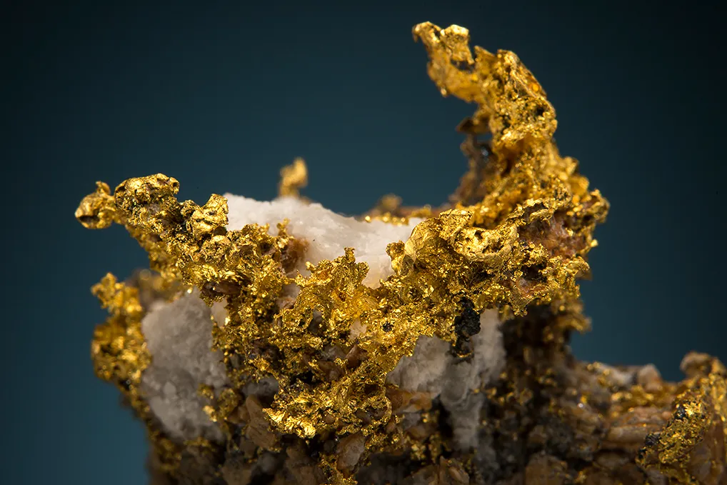 Gold - image 3
