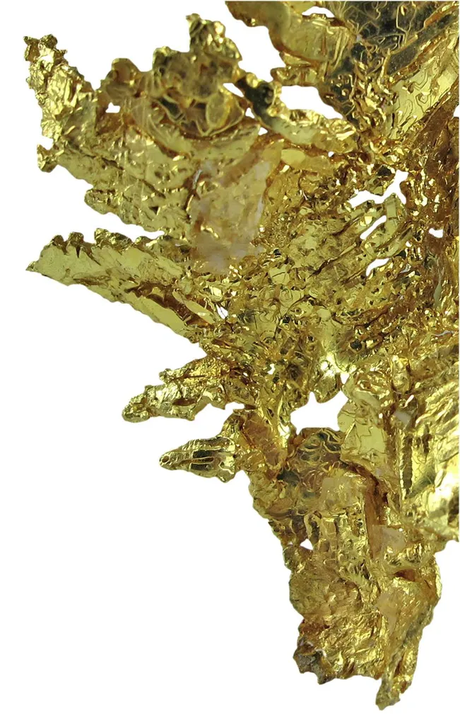 Gold - image 3