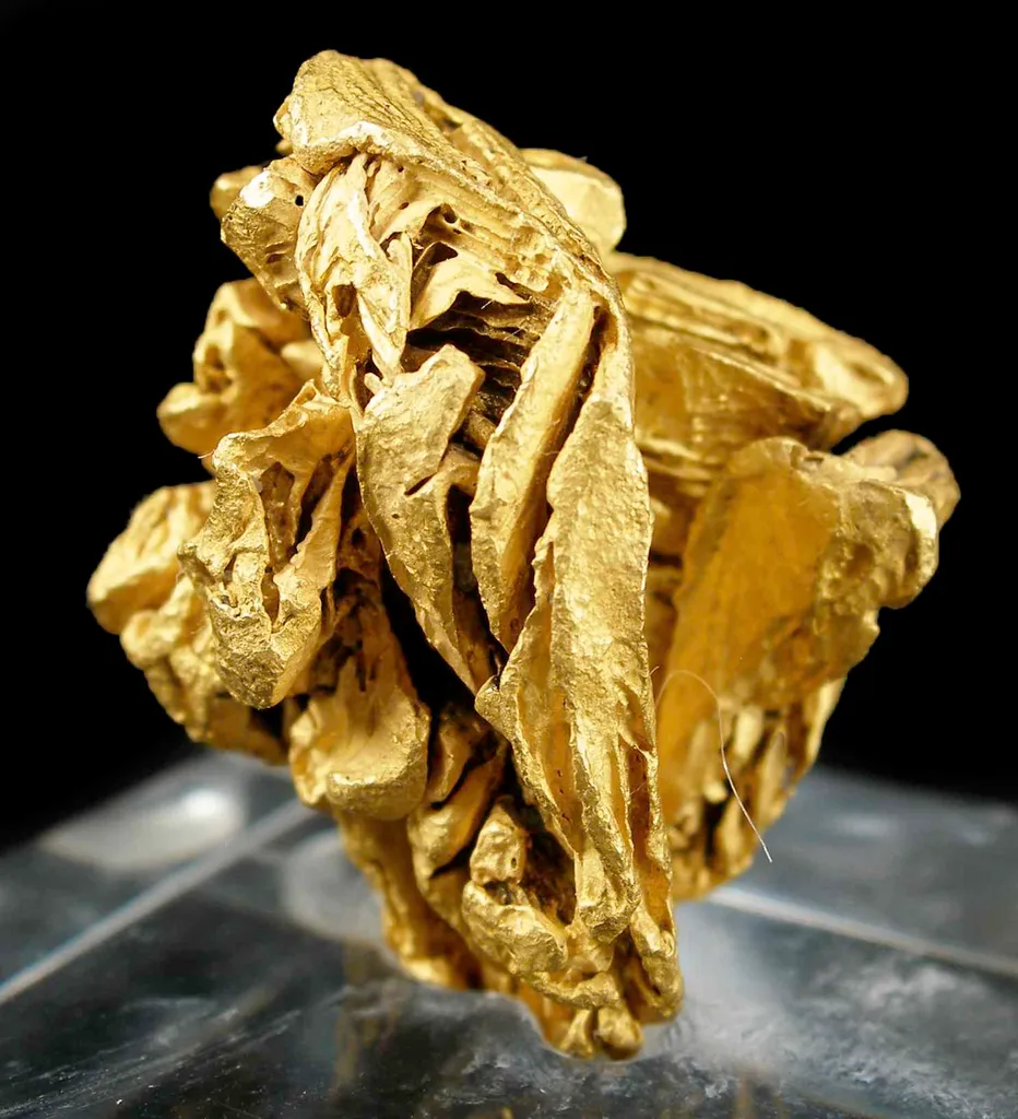 Gold - image 4