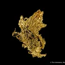Gold - image 1