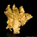 Gold - image 1
