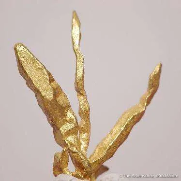 Gold - image 3