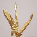Gold - image 3