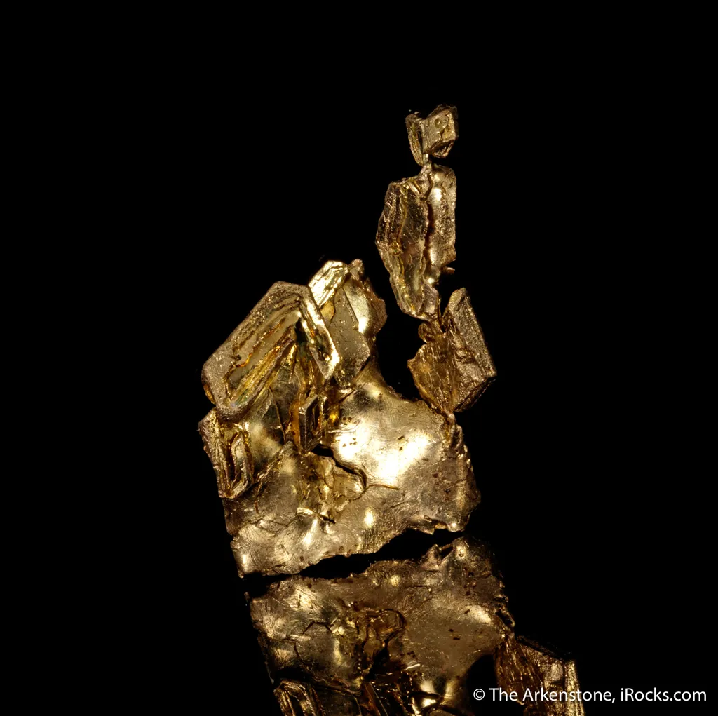 Gold - image 4