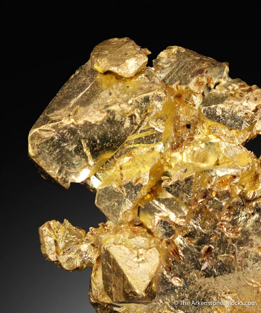 Gold - image 3