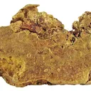 Gold - image 2
