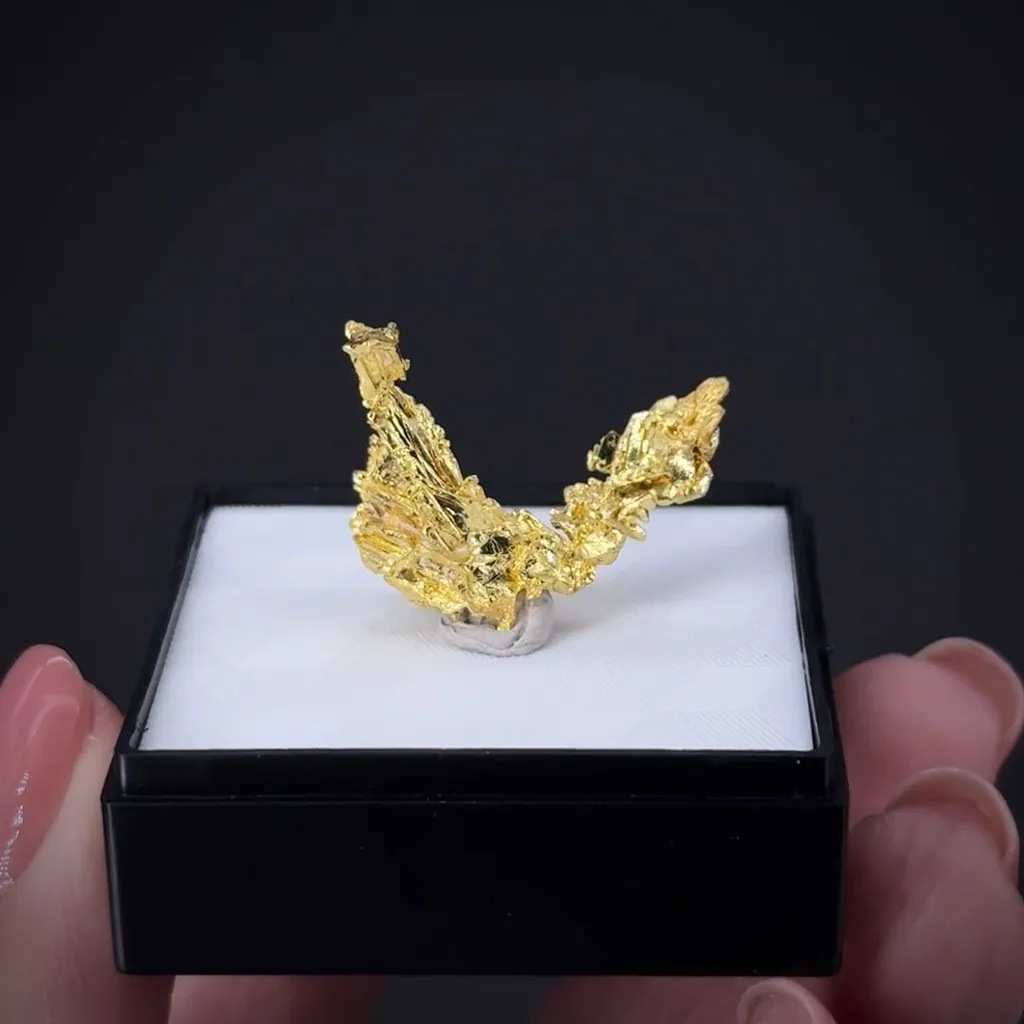 Gold - image 2