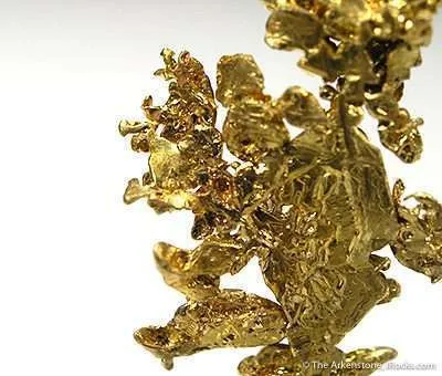 Gold - image 4