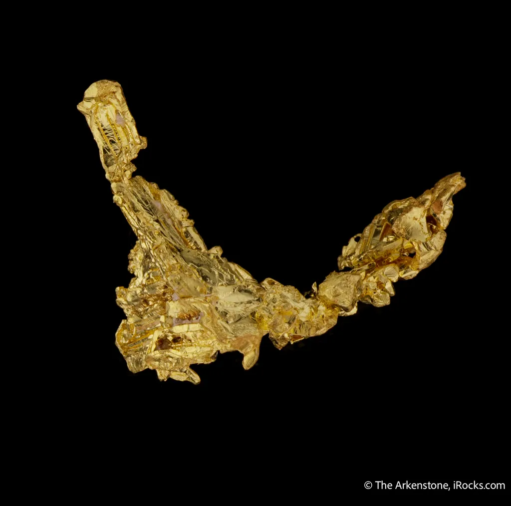 Gold - image 4