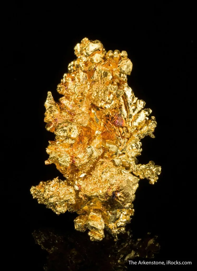 Gold - image 5