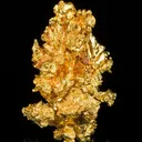 Gold - image 5