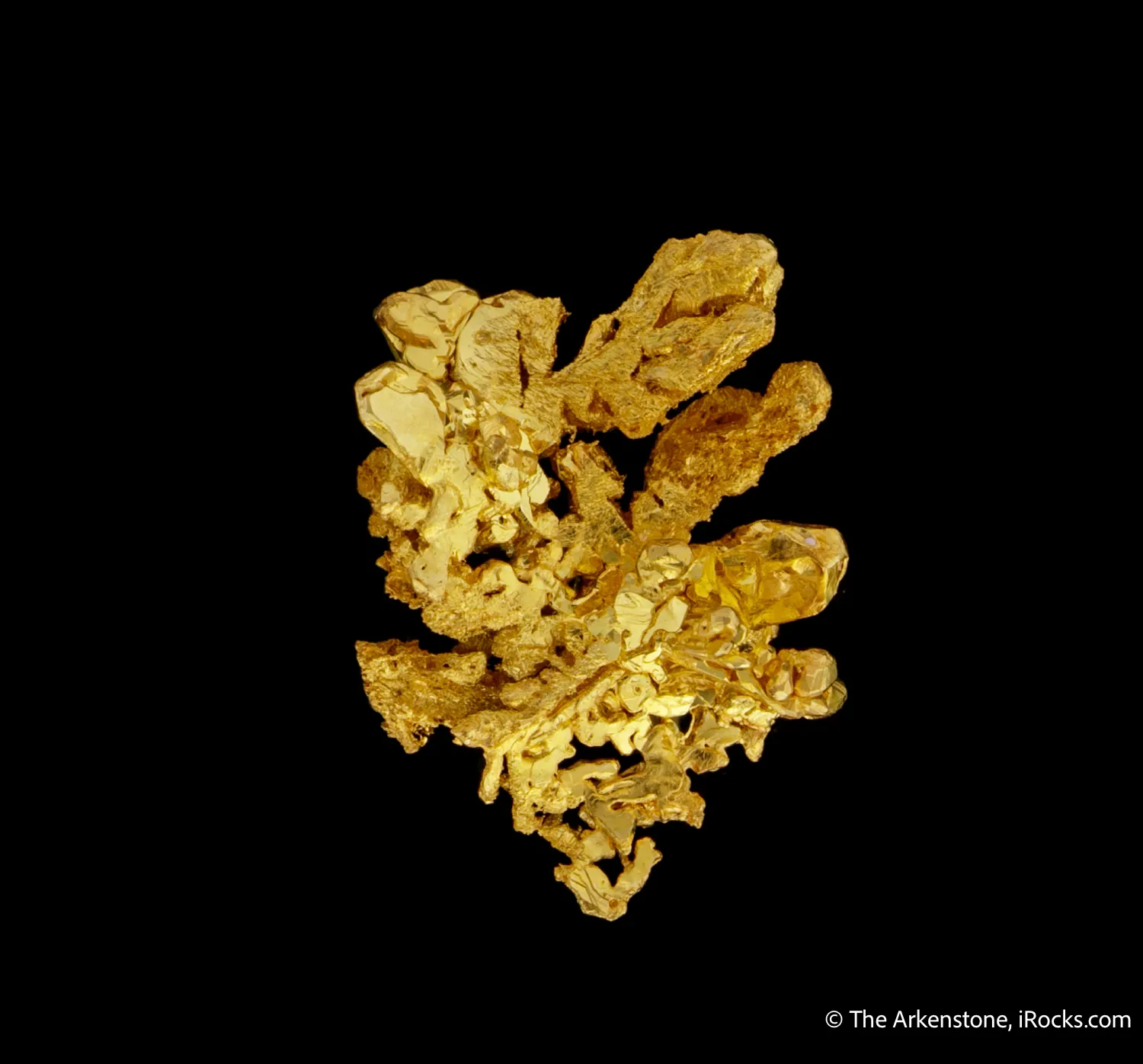 Gold - image 4
