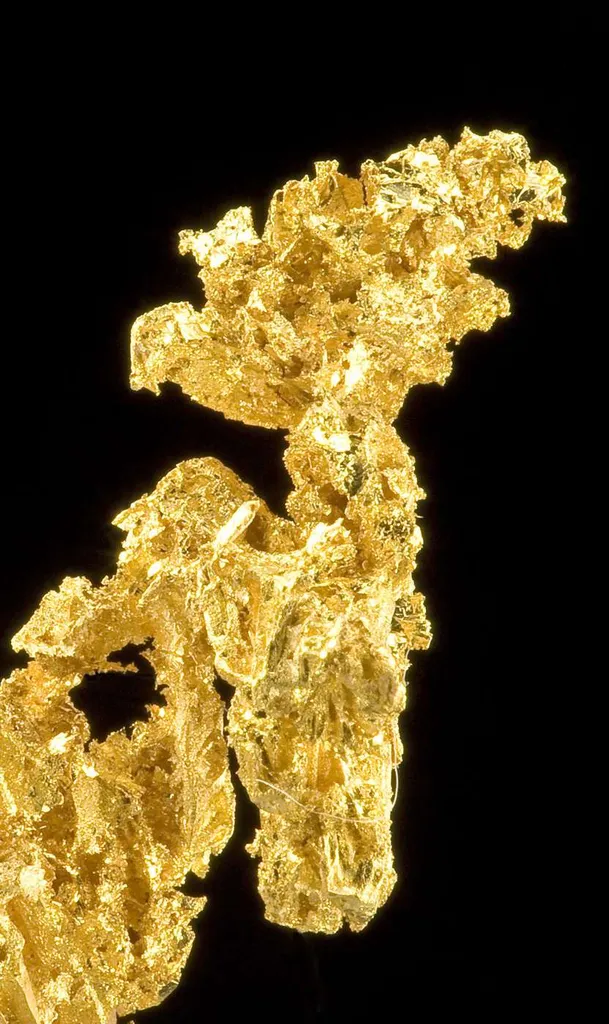 Gold - image 3