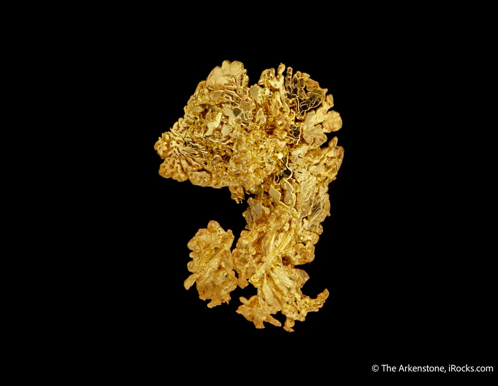 Gold - image 4