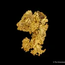 Gold - image 4
