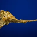 Gold - image 4