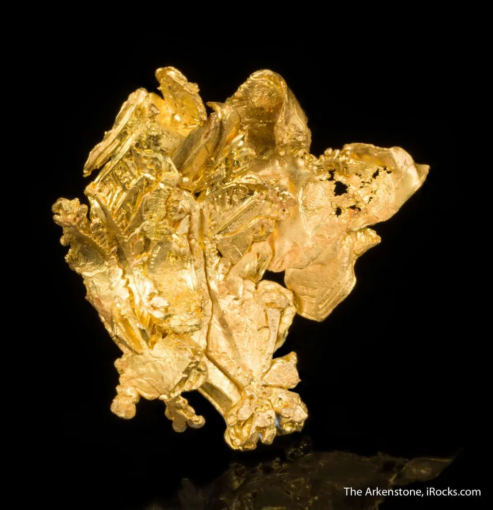 Gold - image 2