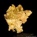 Gold - image 2
