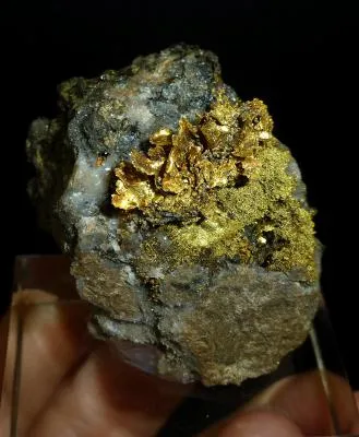 Gold - image 2