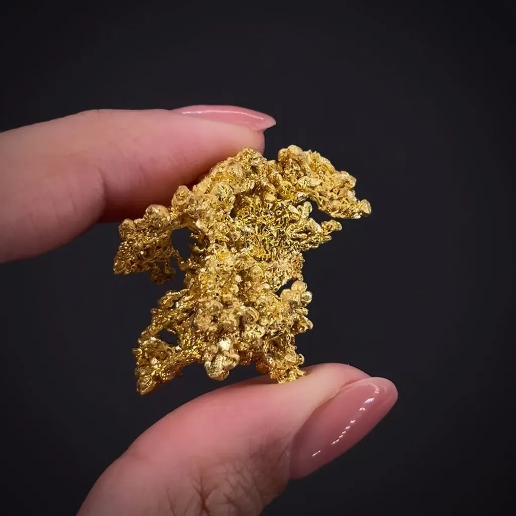 Gold - image 2