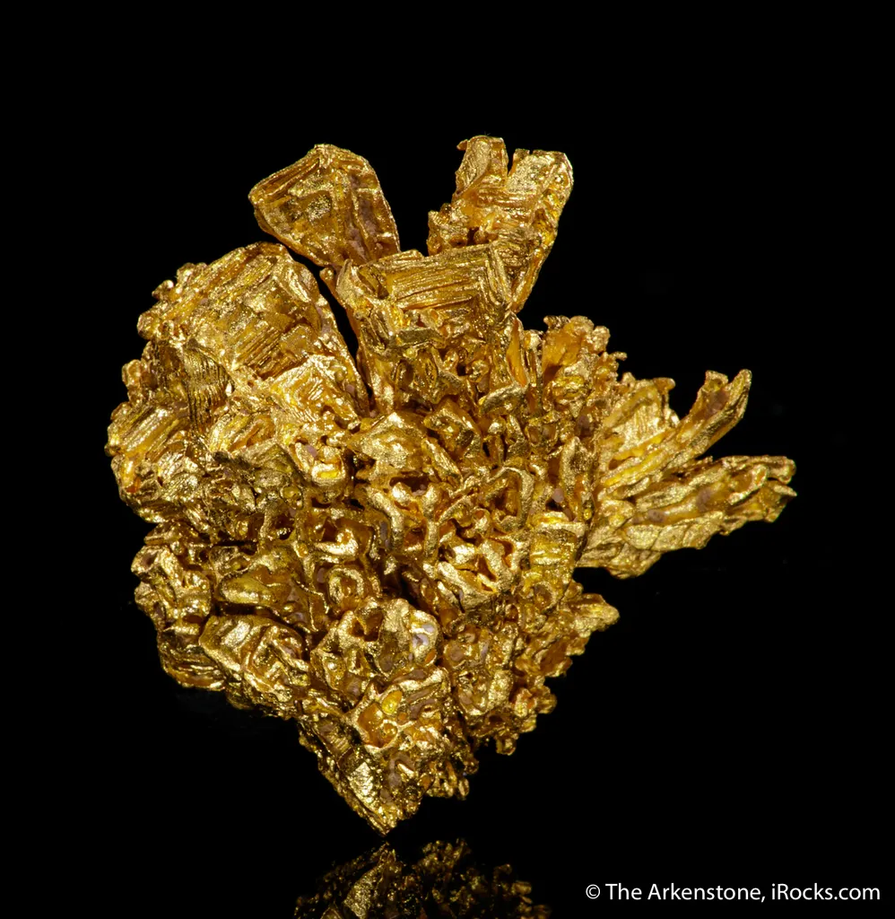 Gold - image 3