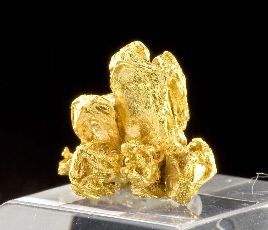 Gold - image 2
