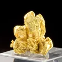 Gold - image 2
