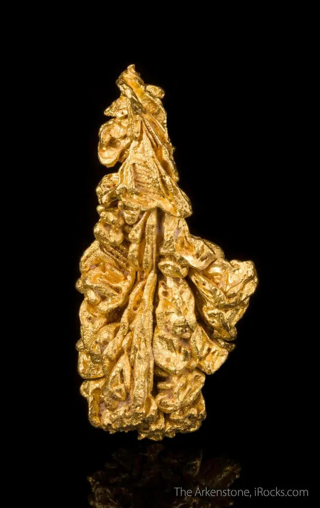 Gold - image 2